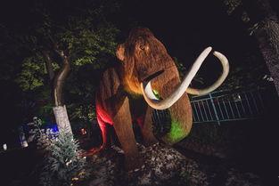 动物园天启夜,天启般的奇幻之夜