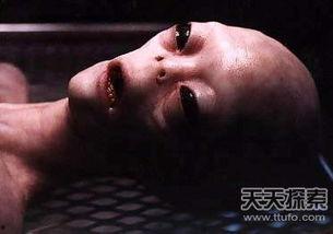 解剖外星人,探寻未知生命体的奥秘