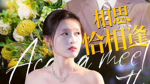 相思恰相逢,缘分的奇妙邂逅